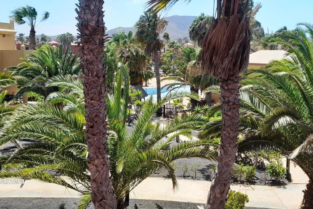 Apartment Cumbre Vieja Fuerteventura كوراليهو المظهر الخارجي الصورة