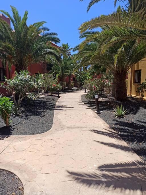 Apartment Cumbre Vieja Fuerteventura كوراليهو المظهر الخارجي الصورة