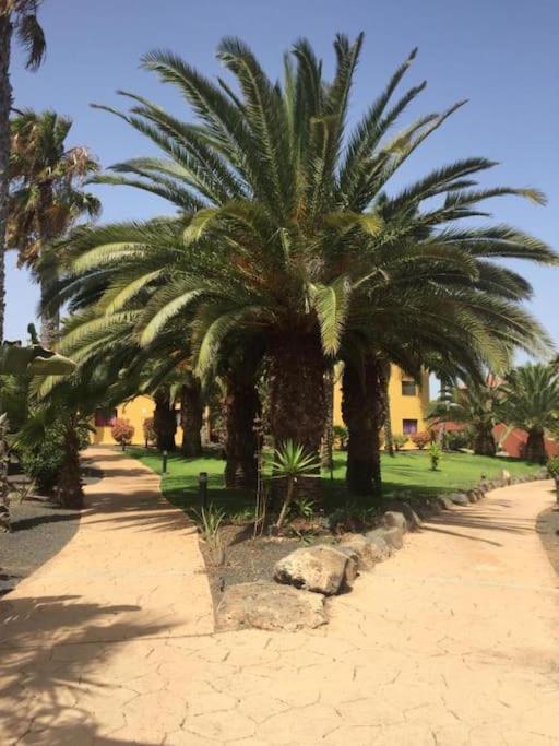 Apartment Cumbre Vieja Fuerteventura كوراليهو المظهر الخارجي الصورة