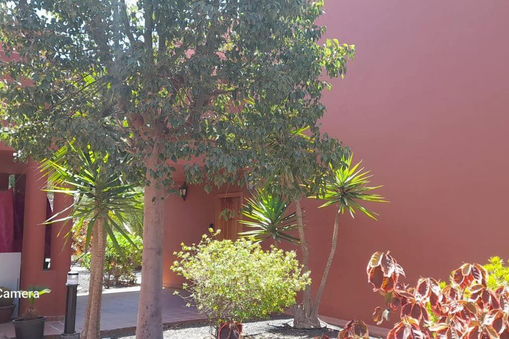 Apartment Cumbre Vieja Fuerteventura كوراليهو المظهر الخارجي الصورة