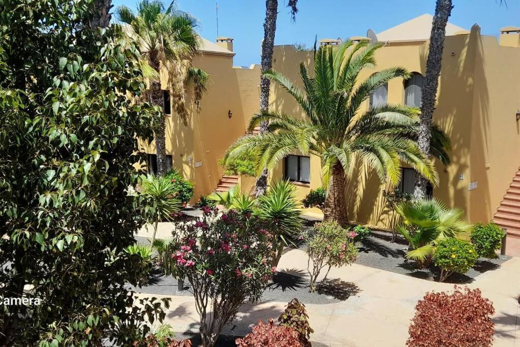 Apartment Cumbre Vieja Fuerteventura كوراليهو المظهر الخارجي الصورة